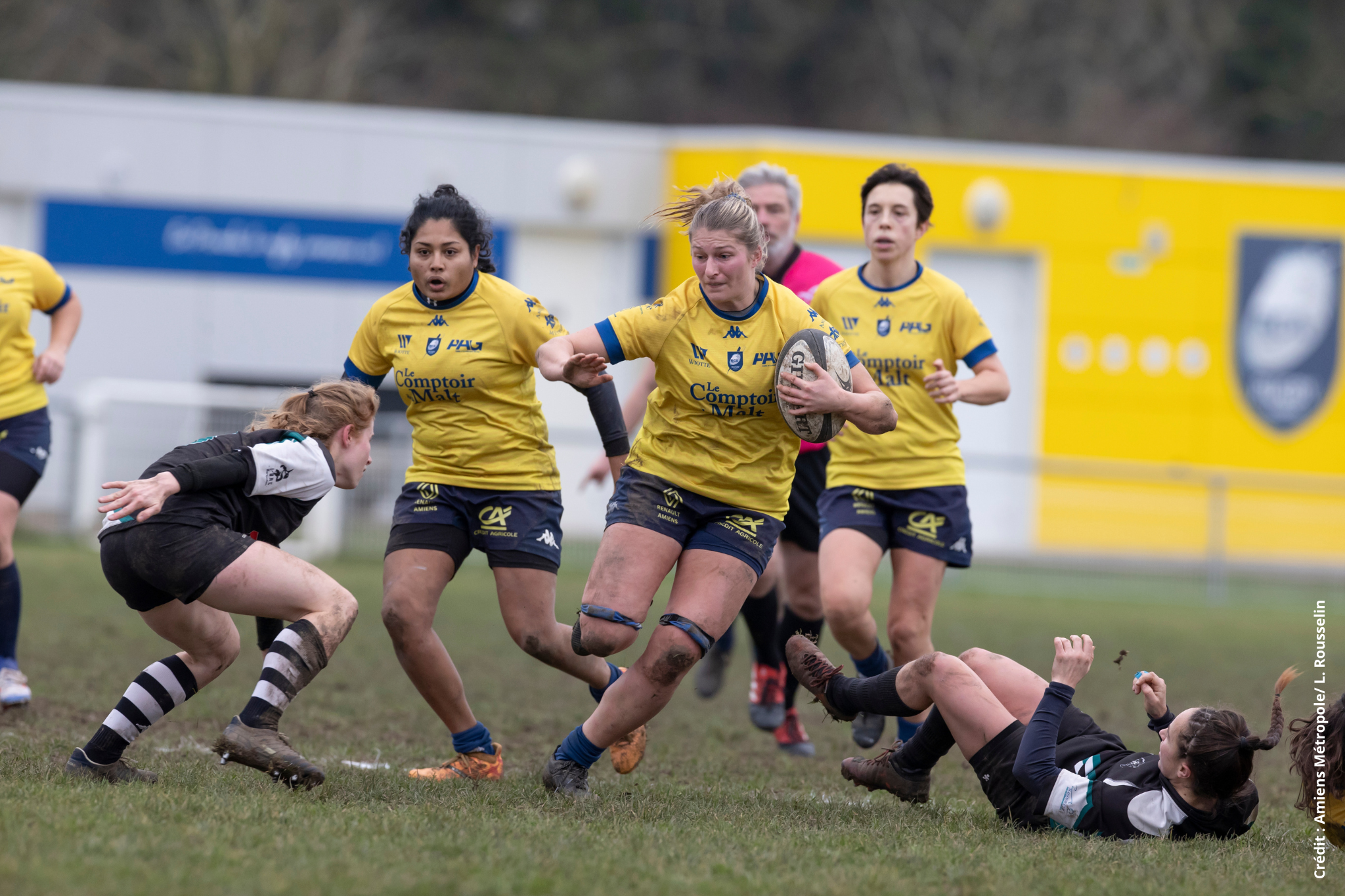 rugby féminin